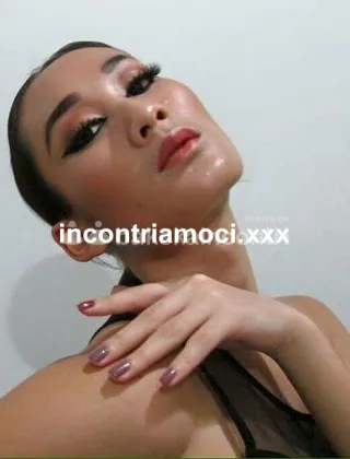 29 - Miranda Trans Vercelli - 3270261117