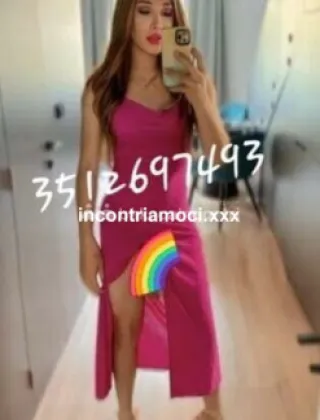 24 - Nova Trans Piacenza - 3512697493