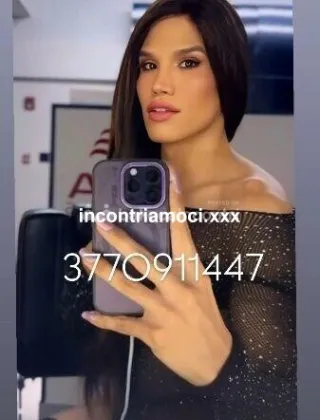 27 - Sabri Trans Cosenza - 3770911447