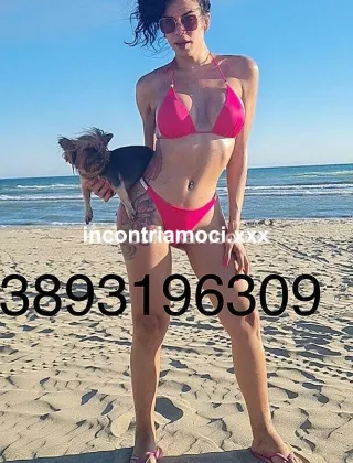 26 - New New Trans Biella - 3290826410