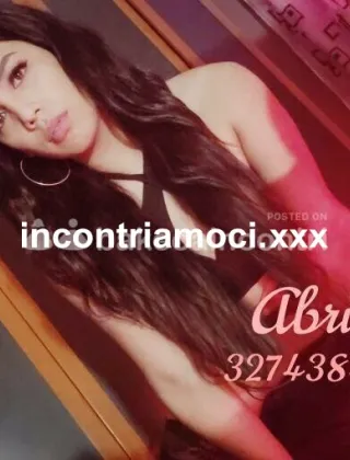 10 - Abril Trans Trento - 3274384258
