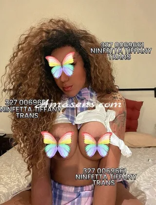 22 - Massaggi Pisa - 3270069661