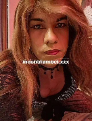 12 - Fina Trans Arezzo - 3342706317