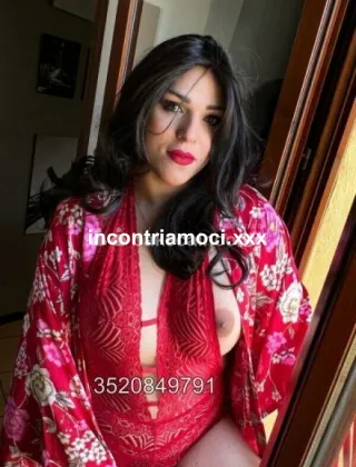 3 - Bruna Trans Pistoia - 3520849791