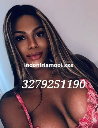 13 - Ivy Muller Trans Lucca - 3279251190