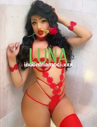 16 - Luna Trans Trapani - 3510303795