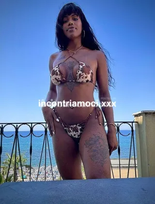 30 - Sofhia Padrona Trans Milano - 3924647421