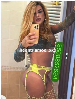 29 - Trans Trans Caserta - 3911293354