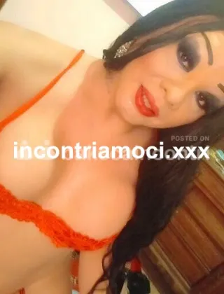 22 - Trans Varese - 3922238354