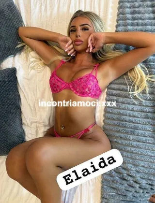 27 - Anna Trans Pavia - 3510519200