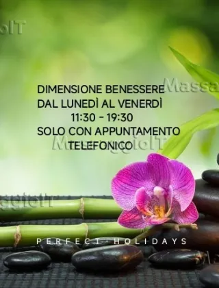 22 - E Trans Verona - 3389220924