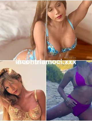 33 - Perla Trans Pordenone - 3489026722