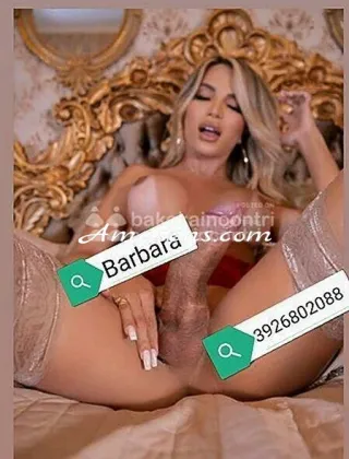 11 - Barbara Trans Latina - 3926802088