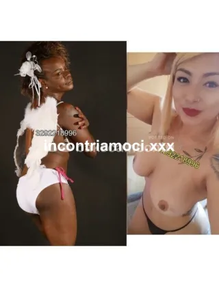 22 - Romana Trans Firenze - 3292218996