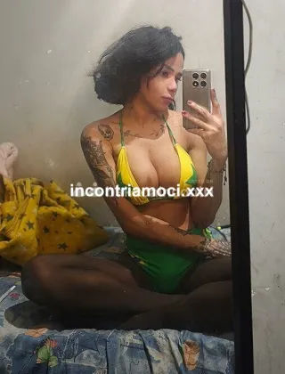 7 - Joaquina Trans Prato - 3485793901