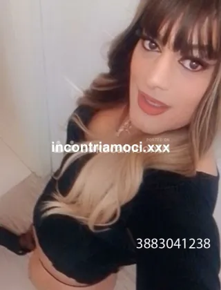 3883041238 - Alexa 30 Trans Rimini