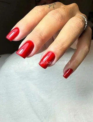 20 - Trans Attiva Trans Padova - 3392878636