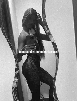 1 - Trans Salerno - 3533263365
