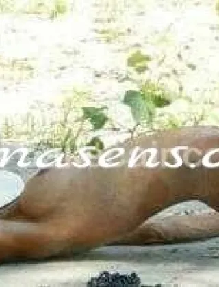 9 - Elena Escort Asti - 3297490052