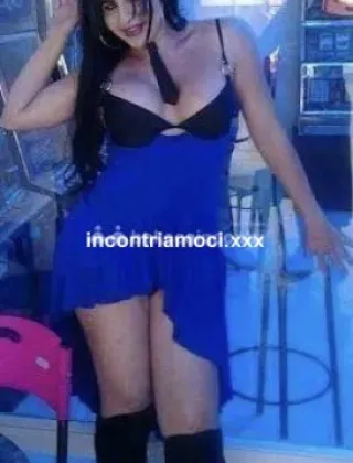5 - Shanty Trans L'Aquila - 3886226062