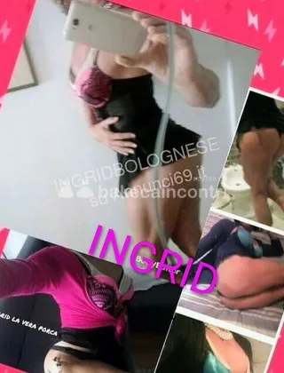 3 - Ingrid Trans Firenze - 3394651063