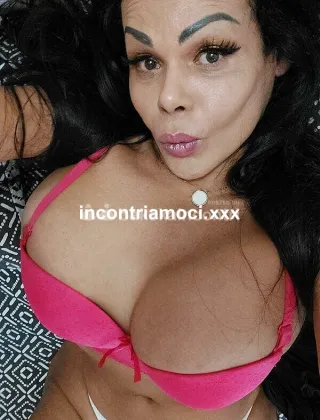 12 - Monika Trans Piacenza - 3274556924