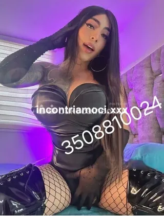 7 - Bruna Trans Frosinone - 3533613458