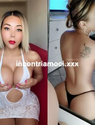 13 - Katty Trans Bologna - 3894566774
