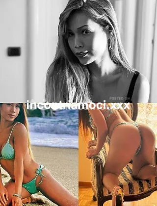 26 - Perla Trans Pordenone - 3489026722