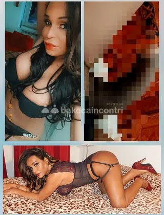 15 - Lya Trans Perugia - 3508743217