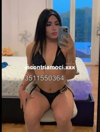 14 - Luciana Trans Cuneo - 3511550364