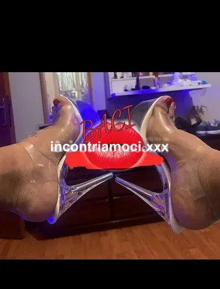 29 - Trans Trans Venezia - 3381587383