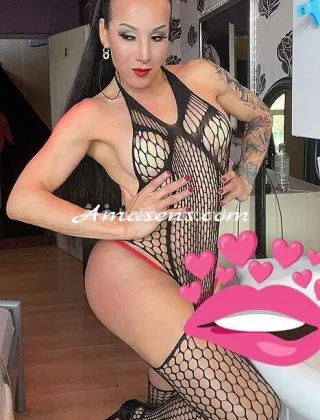 1 - Tabatha Trans Como - 3202204645