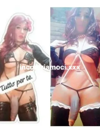 24 - Fenix Trans Alessandria - 3924368588