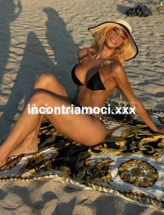21 - Verona Trans Verona - 3381355464