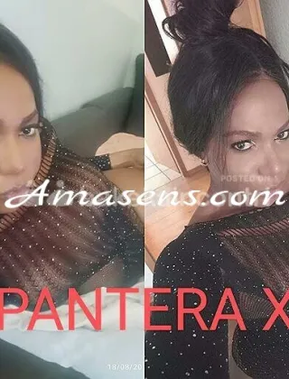 27 - Trans Pantera Trans Torino - 3511815432