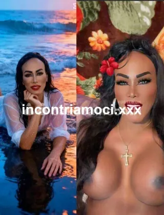 33 - Cristal Trans Trento - 3888342802
