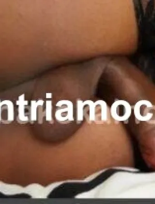 14 - Gabriella Trans Bologna - 3272625036