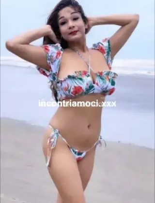 17 - Diana Trans Perugia - 3342024111