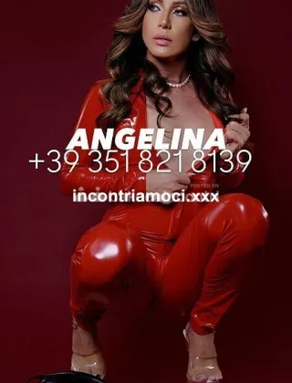 17 - Angelina Trans Parma - 3518218139