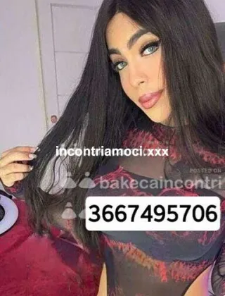 26 - Diana Trans Roma - 3667495706