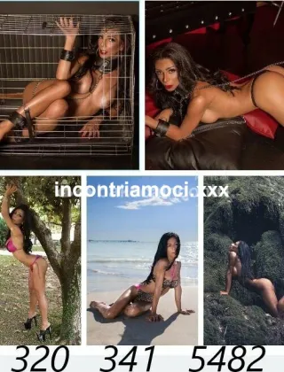 19 - Melissa Trans Sassari - 3203415482