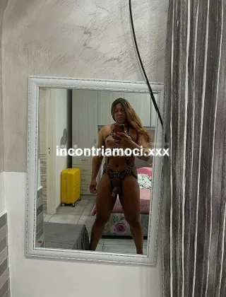34 - Sophia Trans Caserta - 3278515134