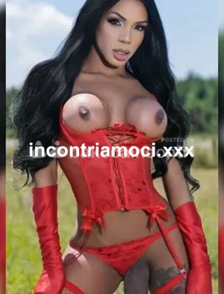 25 - Bruna Trans Verona - 3286511329