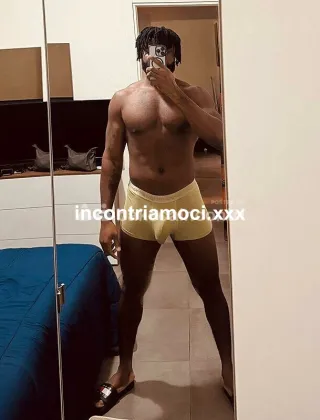 14 - Stallone Africano Coppie Napoli - 3509113369