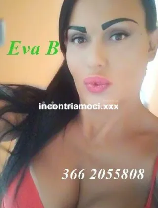 22 - Eva Trans Catanzaro - 3662055808
