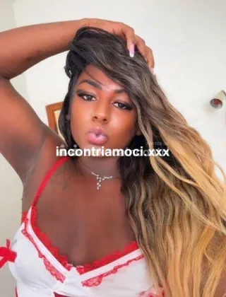 14 - Cavallona Leiteira Trans Lucca - 3932509445