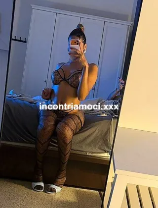 1 - Katy Trans Firenze - 3511980100