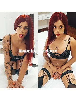 11 - Maila Trans Torino - 3508479873