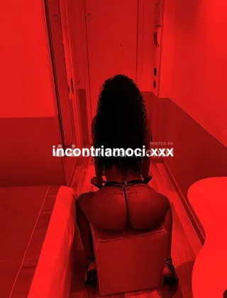 9 - Sofia Trans Bologna - 3792578697